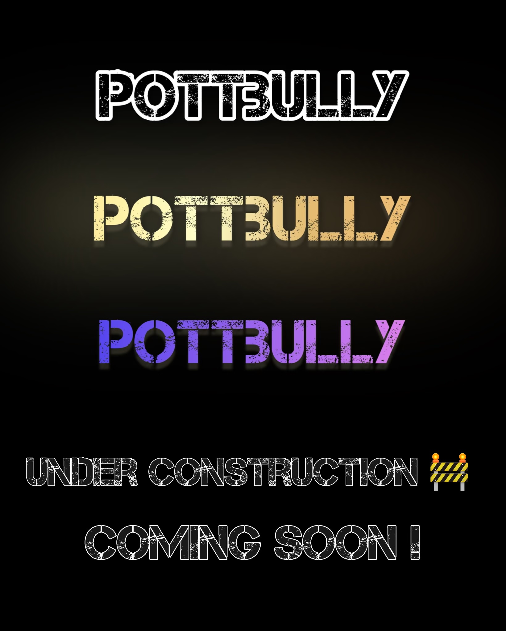 PottBullyUnderConstruction
